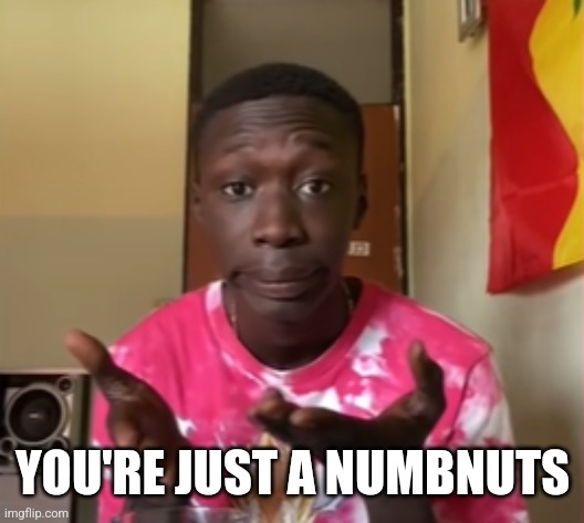 Khaby Lame | YOU'RE JUST A NUMBNUTS | image tagged in khaby lame | made w/ Imgflip meme maker