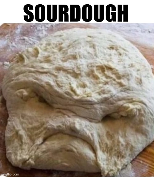 Sourdough | SOURDOUGH | image tagged in chris joines | made w/ Imgflip meme maker