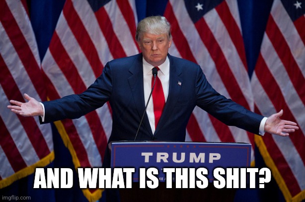 Donald Trump | AND WHAT IS THIS SHIT? | image tagged in donald trump | made w/ Imgflip meme maker