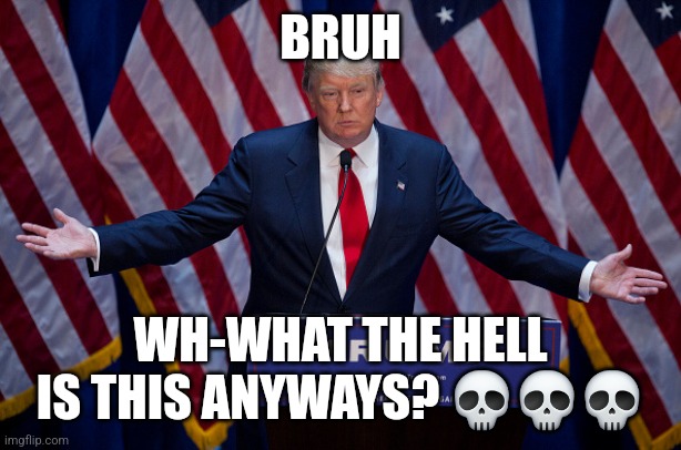 Donald Trump | BRUH WH-WHAT THE HELL IS THIS ANYWAYS? ??? | image tagged in donald trump | made w/ Imgflip meme maker