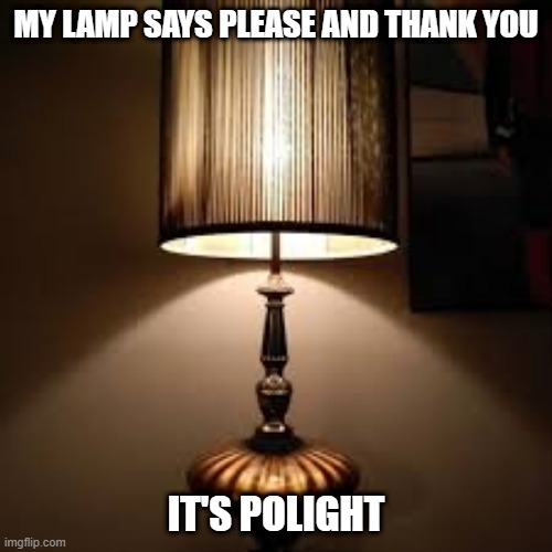 Nice Lamp | MY LAMP SAYS PLEASE AND THANK YOU; IT'S POLIGHT | image tagged in lamp | made w/ Imgflip meme maker