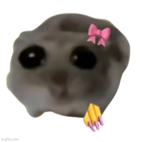 Sad girl hamster | image tagged in sad girl hamster | made w/ Imgflip meme maker