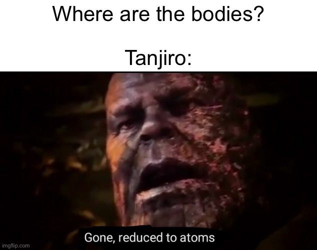 Thanos gone, reduced to atoms | Where are the bodies?
 
Tanjiro: | image tagged in thanos gone reduced to atoms | made w/ Imgflip meme maker