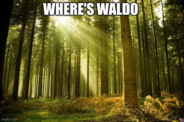 Comment If You Found Waldo | WHERE'S WALDO | image tagged in sunlit forest,where's waldo,funny,memes,fun,comment | made w/ Imgflip meme maker