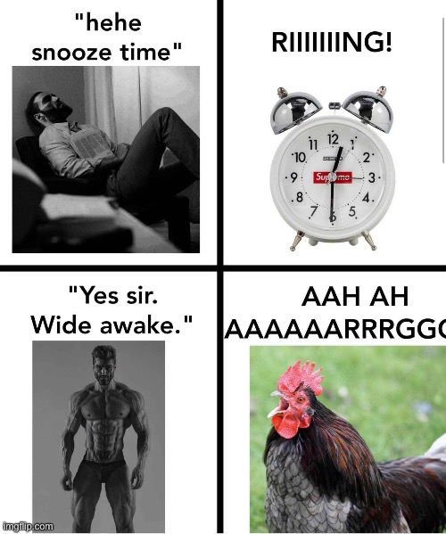 “No thanks, I prefer my alarm clock all-natural” | made w/ Imgflip meme maker