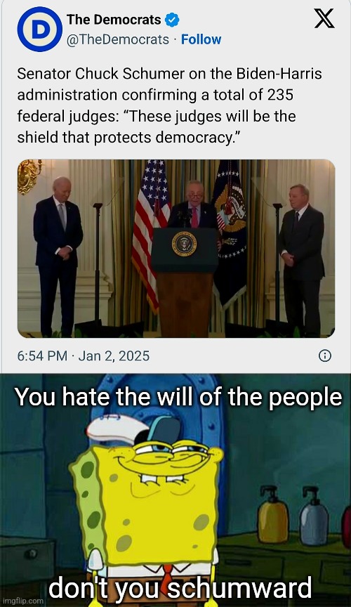 Schumer is as slimy a squid | You hate the will of the people; don't you schumward | image tagged in memes,don't you squidward | made w/ Imgflip meme maker