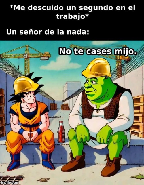 9fkjk9.jpg