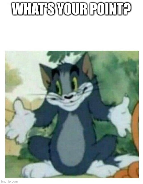 IDK Tom Template | WHAT'S YOUR POINT? | image tagged in idk tom template | made w/ Imgflip meme maker