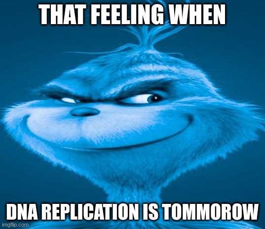 Blue Grinch | THAT FEELING WHEN; DNA REPLICATION IS TOMMOROW | image tagged in blue grinch | made w/ Imgflip meme maker