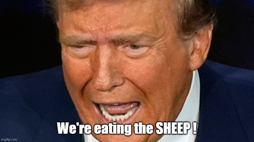 We're eating the SHEEP ! | made w/ Imgflip meme maker