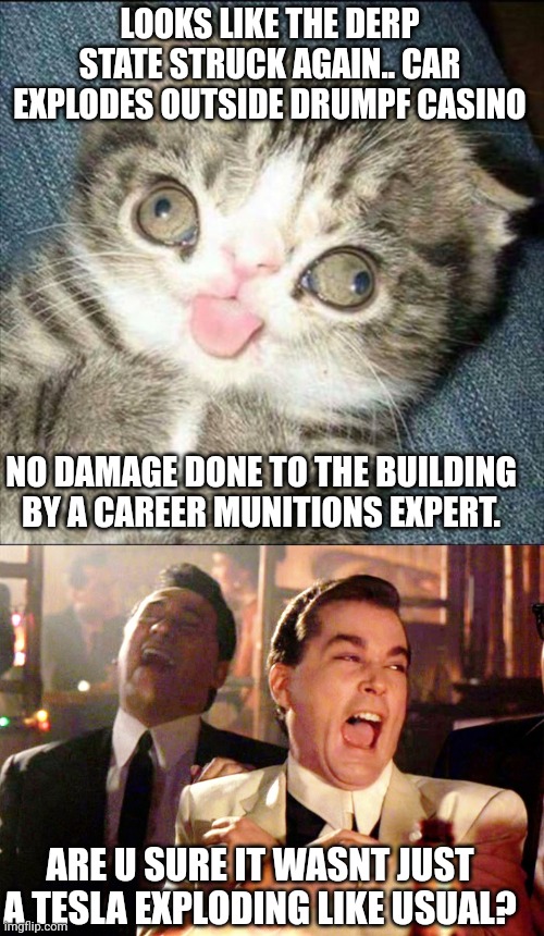 More derp state shenanigans... | LOOKS LIKE THE DERP STATE STRUCK AGAIN.. CAR EXPLODES OUTSIDE DRUMPF CASINO; NO DAMAGE DONE TO THE BUILDING BY A CAREER MUNITIONS EXPERT. ARE U SURE IT WASNT JUST A TESLA EXPLODING LIKE USUAL? | image tagged in derp cat,good fellas hilarious,scripted theatre for the dummies | made w/ Imgflip meme maker