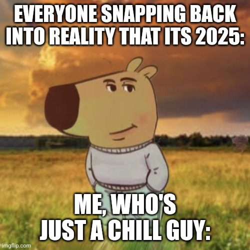 Chill guy | EVERYONE SNAPPING BACK INTO REALITY THAT ITS 2025:; ME, WHO'S JUST A CHILL GUY: | image tagged in chill guy | made w/ Imgflip meme maker