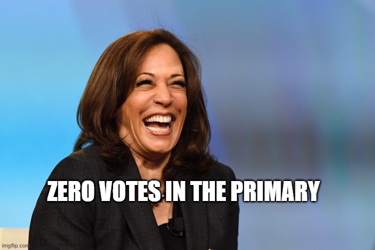 Kamala Harris laughing | ZERO VOTES IN THE PRIMARY | image tagged in kamala harris laughing | made w/ Imgflip meme maker