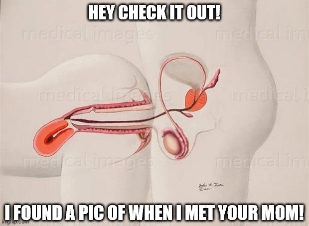 Your Mom & I | HEY CHECK IT OUT! I FOUND A PIC OF WHEN I MET YOUR MOM! | image tagged in your mom,bone in,family pics | made w/ Imgflip meme maker