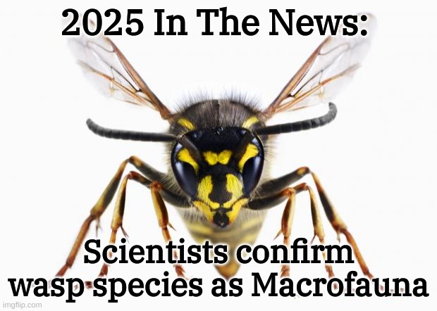 So, how's YOUR day going? | 2025 In The News:; Scientists confirm wasp species as Macrofauna | image tagged in scumbag wasp,macrofauna | made w/ Imgflip meme maker