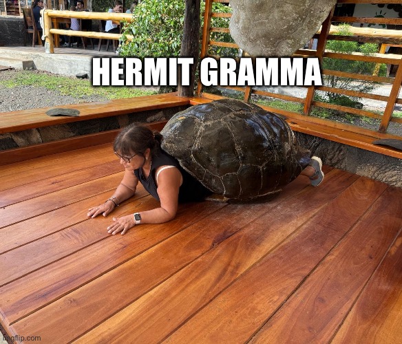 Tortuela | HERMIT GRAMMA | image tagged in tortuela | made w/ Imgflip meme maker