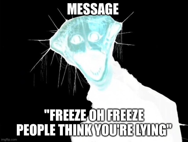 Phen 822 | MESSAGE; "FREEZE OH FREEZE PEOPLE THINK YOU'RE LYING" | image tagged in frozen guy | made w/ Imgflip meme maker