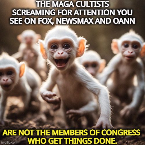 THE MAGA CULTISTS SCREAMING FOR ATTENTION YOU SEE ON FOX, NEWSMAX AND OANN; ARE NOT THE MEMBERS OF CONGRESS 
WHO GET THINGS DONE. | image tagged in fox news,newsmax,oann,maga,screaming,attention | made w/ Imgflip meme maker