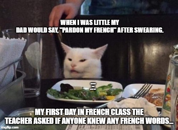 French words | WHEN I WAS LITTLE MY DAD WOULD SAY, "PARDON MY FRENCH" AFTER SWEARING. MY FIRST DAY IN FRENCH CLASS THE TEACHER ASKED IF ANYONE KNEW ANY FRENCH WORDS... | image tagged in smudge that darn cat | made w/ Imgflip meme maker