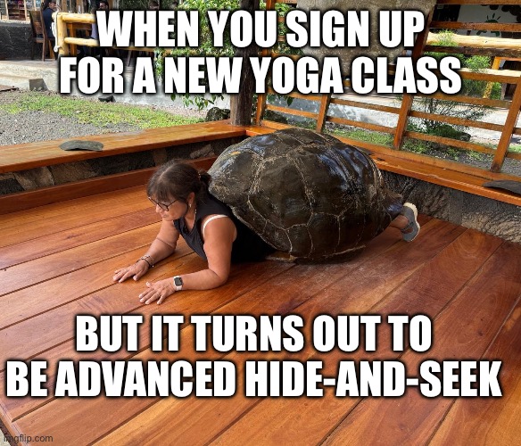 Tortuela | WHEN YOU SIGN UP FOR A NEW YOGA CLASS; BUT IT TURNS OUT TO BE ADVANCED HIDE-AND-SEEK | image tagged in tortuela | made w/ Imgflip meme maker