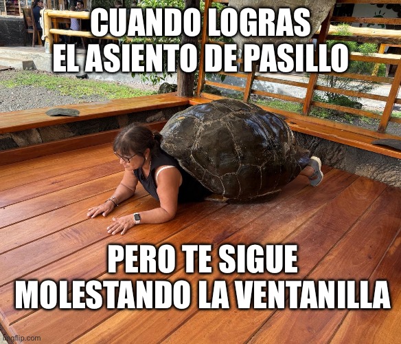 Tortuela | CUANDO LOGRAS EL ASIENTO DE PASILLO; PERO TE SIGUE MOLESTANDO LA VENTANILLA | image tagged in tortuela | made w/ Imgflip meme maker