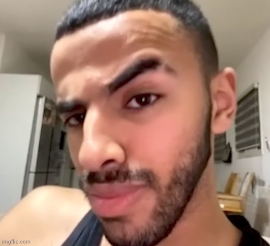 Omegle eyebrow | image tagged in omegle eyebrow | made w/ Imgflip meme maker