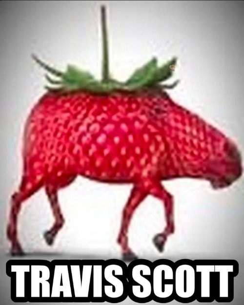 Travis Scott | image tagged in travis scott | made w/ Imgflip meme maker