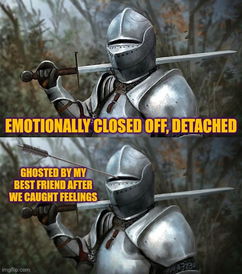 That's what I wanted actually, so thanks | EMOTIONALLY CLOSED OFF, DETACHED; GHOSTED BY MY BEST FRIEND AFTER WE CAUGHT FEELINGS | image tagged in prepared paladin,friends,depression | made w/ Imgflip meme maker