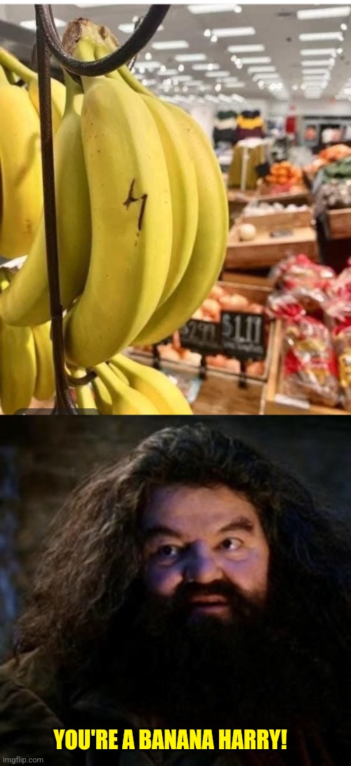 OR THE BANANA IS A HORCRUX | YOU'RE A BANANA HARRY! | image tagged in you're a wizard harry,harry potter,banana | made w/ Imgflip meme maker