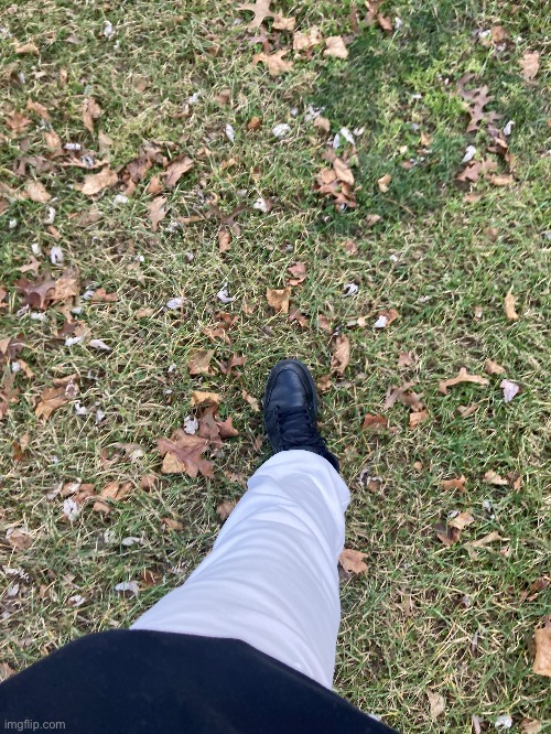 I’m walking home | made w/ Imgflip meme maker