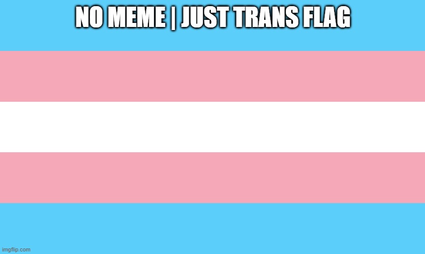 transflag | NO MEME | JUST TRANS FLAG | image tagged in transflag | made w/ Imgflip meme maker