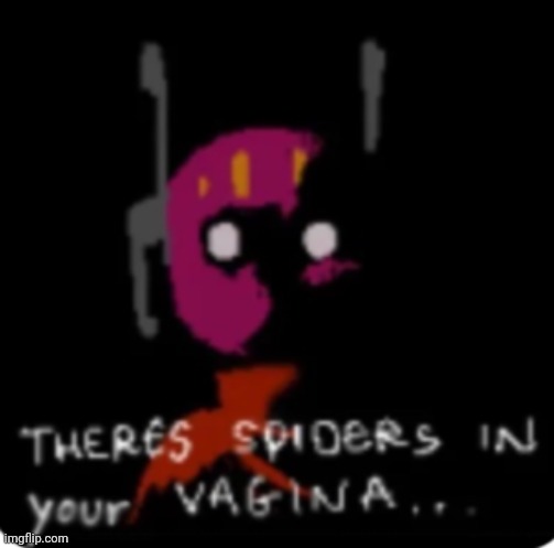 There's spiders in your vagina | image tagged in there's spiders in your vagina | made w/ Imgflip meme maker