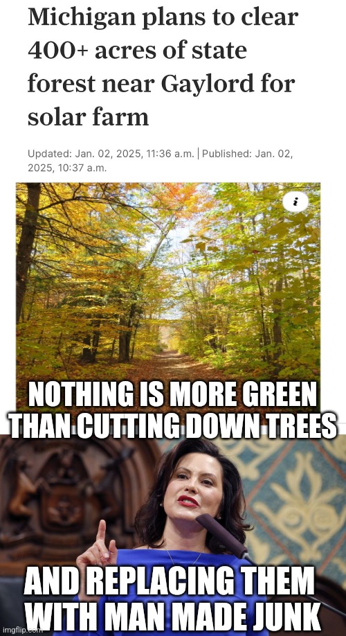 DEMOCRATS DOING THE OPPOSITE OF SENSE AGAIN | NOTHING IS MORE GREEN THAN CUTTING DOWN TREES; AND REPLACING THEM 
WITH MAN MADE JUNK | image tagged in whitmer,michigan,democrats,gretchen whitmer,politics | made w/ Imgflip meme maker