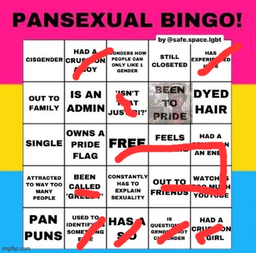 Pansexual Bingo | image tagged in pansexual bingo | made w/ Imgflip meme maker