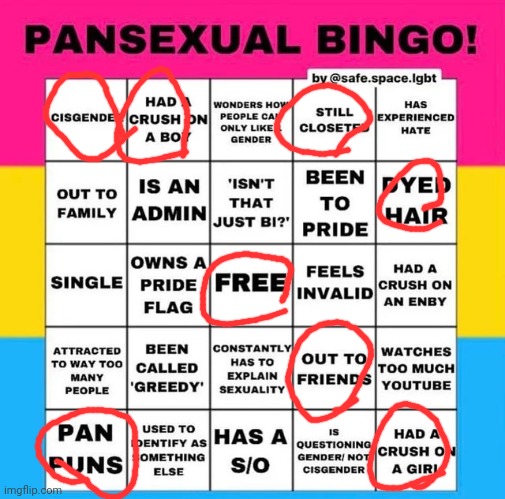 Pansexual Bingo | image tagged in pansexual bingo | made w/ Imgflip meme maker