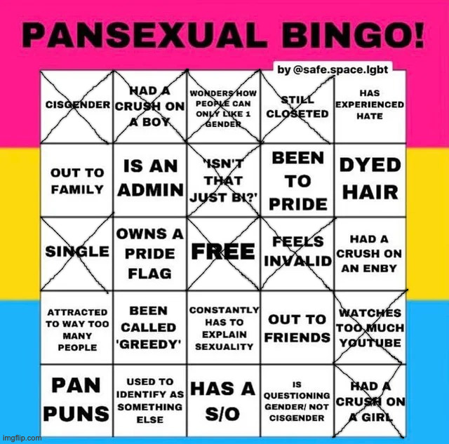 this is fucking gay | image tagged in pansexual bingo | made w/ Imgflip meme maker