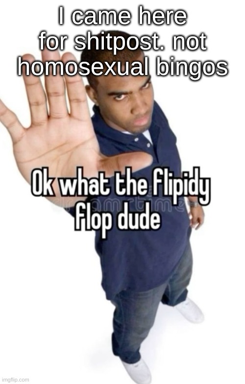 Ok what the flipity flop dude | I came here for shitpost. not homosexual bingos | image tagged in ok what the flipity flop dude | made w/ Imgflip meme maker