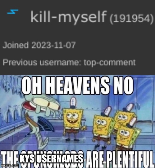 KYS USERNAMES | image tagged in oh heavens no the spunsklobs are plentiful | made w/ Imgflip meme maker