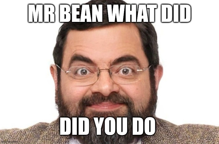 Really let himself go | MR BEAN WHAT DID; DID YOU DO | image tagged in mr bean | made w/ Imgflip meme maker