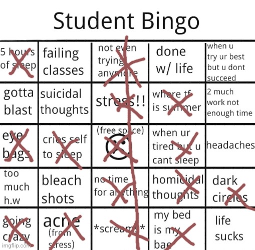 student bingo | image tagged in student bingo | made w/ Imgflip meme maker