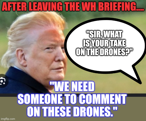 Drag trump | AFTER LEAVING THE WH BRIEFING.... "WE NEED SOMEONE TO COMMENT ON THESE DRONES." "SIR, WHAT IS YOUR TAKE ON THE DRONES?" | image tagged in drag trump | made w/ Imgflip meme maker