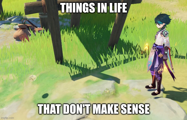 floating egg | THINGS IN LIFE; THAT DON'T MAKE SENSE | image tagged in floating egg | made w/ Imgflip meme maker