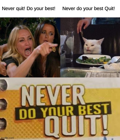 Yall had one job bro. | Never quit! Do your best! Never do your best Quit! | image tagged in memes,woman yelling at cat | made w/ Imgflip meme maker