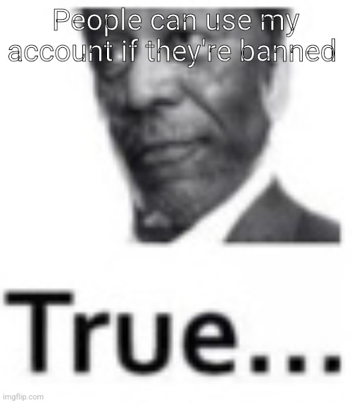 True... | People can use my account if they're banned | image tagged in true | made w/ Imgflip meme maker