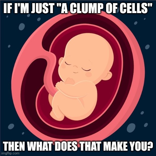 PRO CHOICE PEOPLE ARE NOT HUMAN | IF I'M JUST "A CLUMP OF CELLS"; THEN WHAT DOES THAT MAKE YOU? | image tagged in pro life,baby,abortion is murder | made w/ Imgflip meme maker