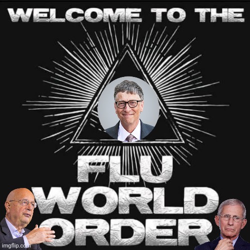 Flu World Order | image tagged in bill gates,dr fauci | made w/ Imgflip meme maker