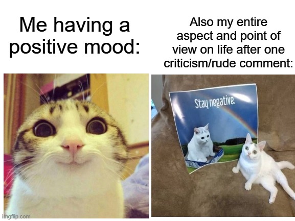 Me fr | Also my entire aspect and point of view on life after one criticism/rude comment:; Me having a positive mood: | image tagged in blank white template | made w/ Imgflip meme maker