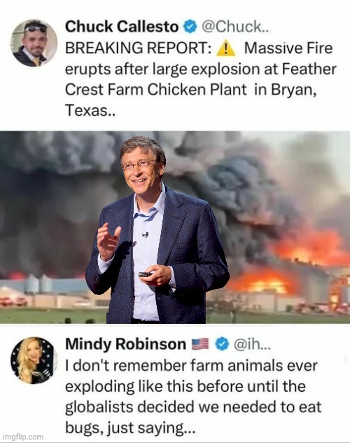 Bird Flu Bill is at it again. | image tagged in bill gates,bird,flu,arson | made w/ Imgflip meme maker