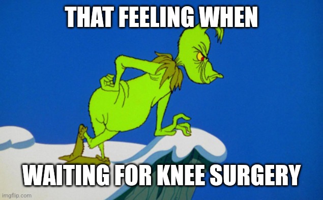 Grinch  | THAT FEELING WHEN; WAITING FOR KNEE SURGERY | image tagged in grinch | made w/ Imgflip meme maker