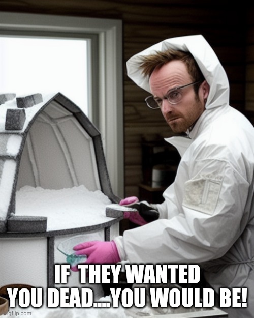 Snowcones | IF  THEY WANTED YOU DEAD....YOU WOULD BE! | image tagged in snowcones | made w/ Imgflip meme maker